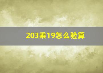 203乘19怎么验算