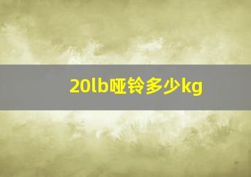 20lb哑铃多少kg