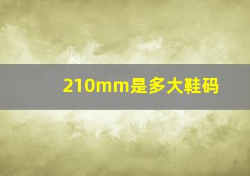 210mm是多大鞋码