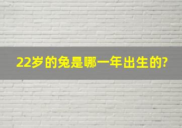 22岁的兔是哪一年出生的?