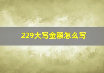 229大写金额怎么写