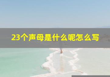 23个声母是什么呢怎么写