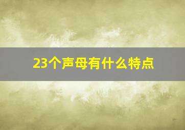 23个声母有什么特点