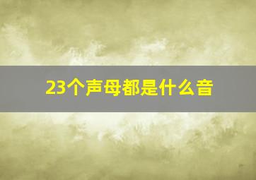 23个声母都是什么音