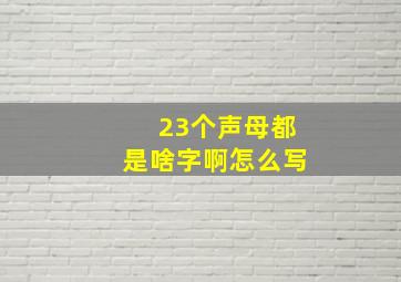 23个声母都是啥字啊怎么写