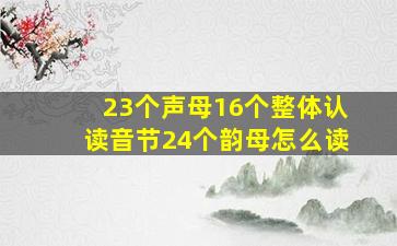 23个声母16个整体认读音节24个韵母怎么读