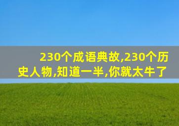 230个成语典故,230个历史人物,知道一半,你就太牛了