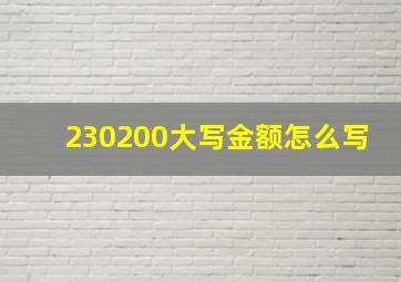 230200大写金额怎么写