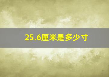 25.6厘米是多少寸