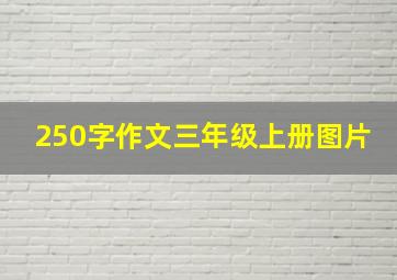 250字作文三年级上册图片