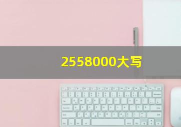 2558000大写