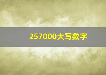 257000大写数字