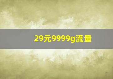 29元9999g流量