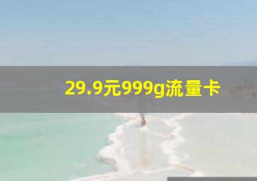 29.9元999g流量卡