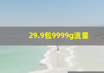 29.9包9999g流量