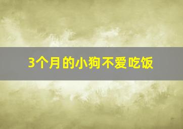 3个月的小狗不爱吃饭