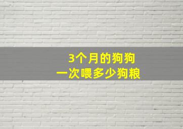 3个月的狗狗一次喂多少狗粮