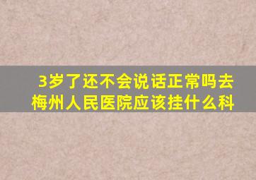 3岁了还不会说话正常吗去梅州人民医院应该挂什么科