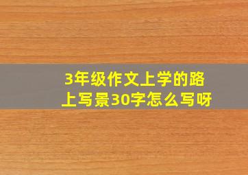 3年级作文上学的路上写景30字怎么写呀