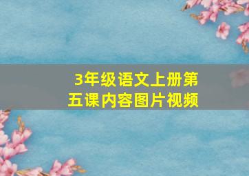 3年级语文上册第五课内容图片视频