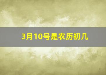 3月10号是农历初几