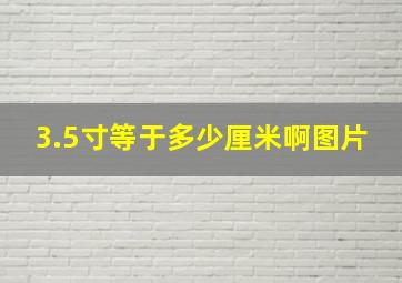 3.5寸等于多少厘米啊图片