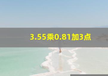 3.55乘0.81加3点