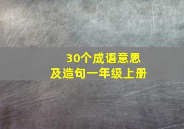 30个成语意思及造句一年级上册