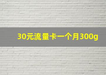 30元流量卡一个月300g