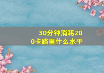 30分钟消耗200卡路里什么水平