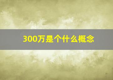 300万是个什么概念