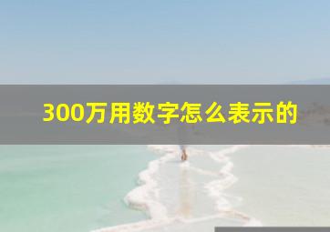 300万用数字怎么表示的