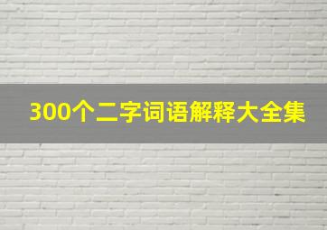 300个二字词语解释大全集