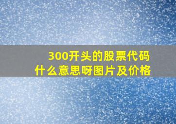 300开头的股票代码什么意思呀图片及价格