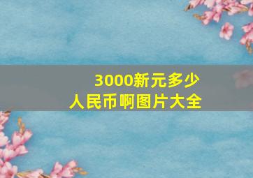 3000新元多少人民币啊图片大全