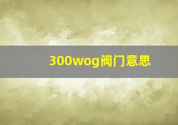 300wog阀门意思