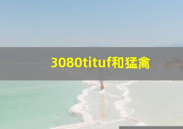 3080tituf和猛禽