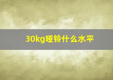 30kg哑铃什么水平