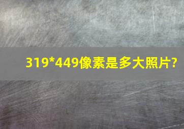 319*449像素是多大照片?