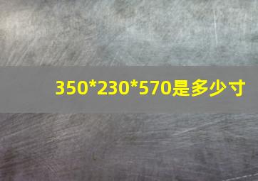 350*230*570是多少寸