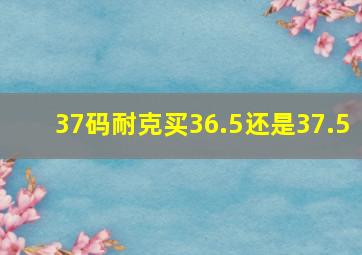 37码耐克买36.5还是37.5