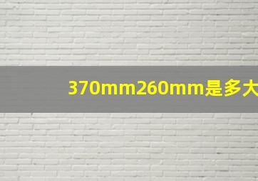 370mm260mm是多大