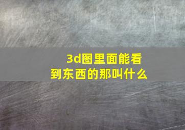 3d图里面能看到东西的那叫什么