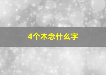 4个木念什么字