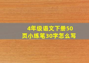 4年级语文下册50页小练笔30字怎么写