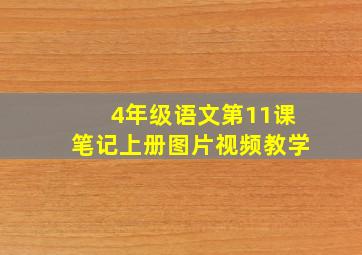 4年级语文第11课笔记上册图片视频教学