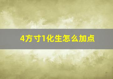 4方寸1化生怎么加点