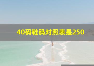 40码鞋码对照表是250