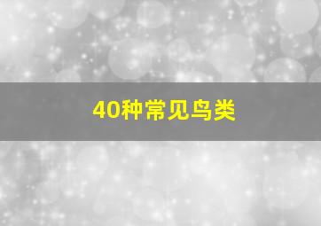 40种常见鸟类