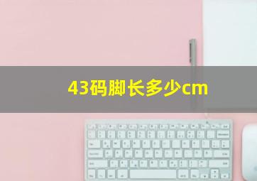 43码脚长多少cm